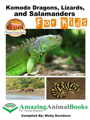 cover image of Komodo Dragons, Lizards, and Salamanders for Kids